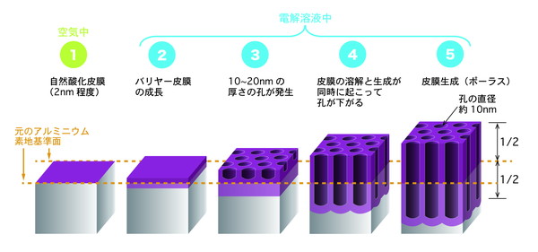 アルマイトの構造1